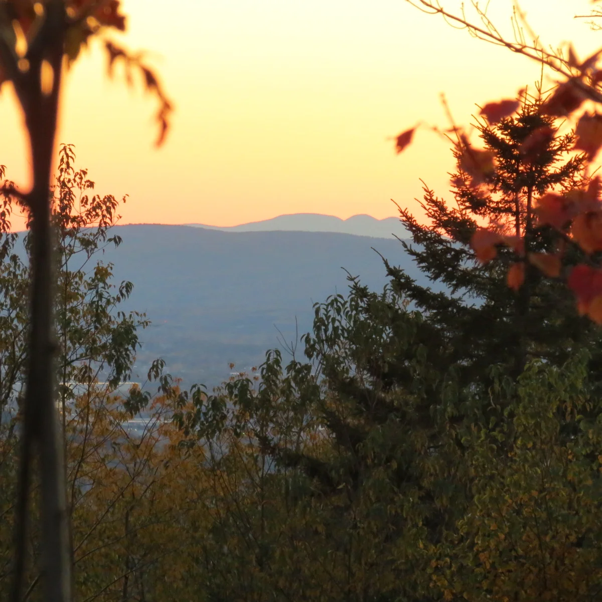 View to the West