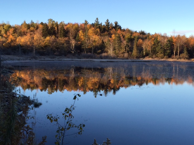 Beaver Pond, Peru Road