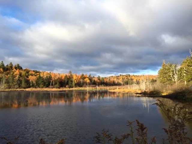 Beaver Pond, Peru Road