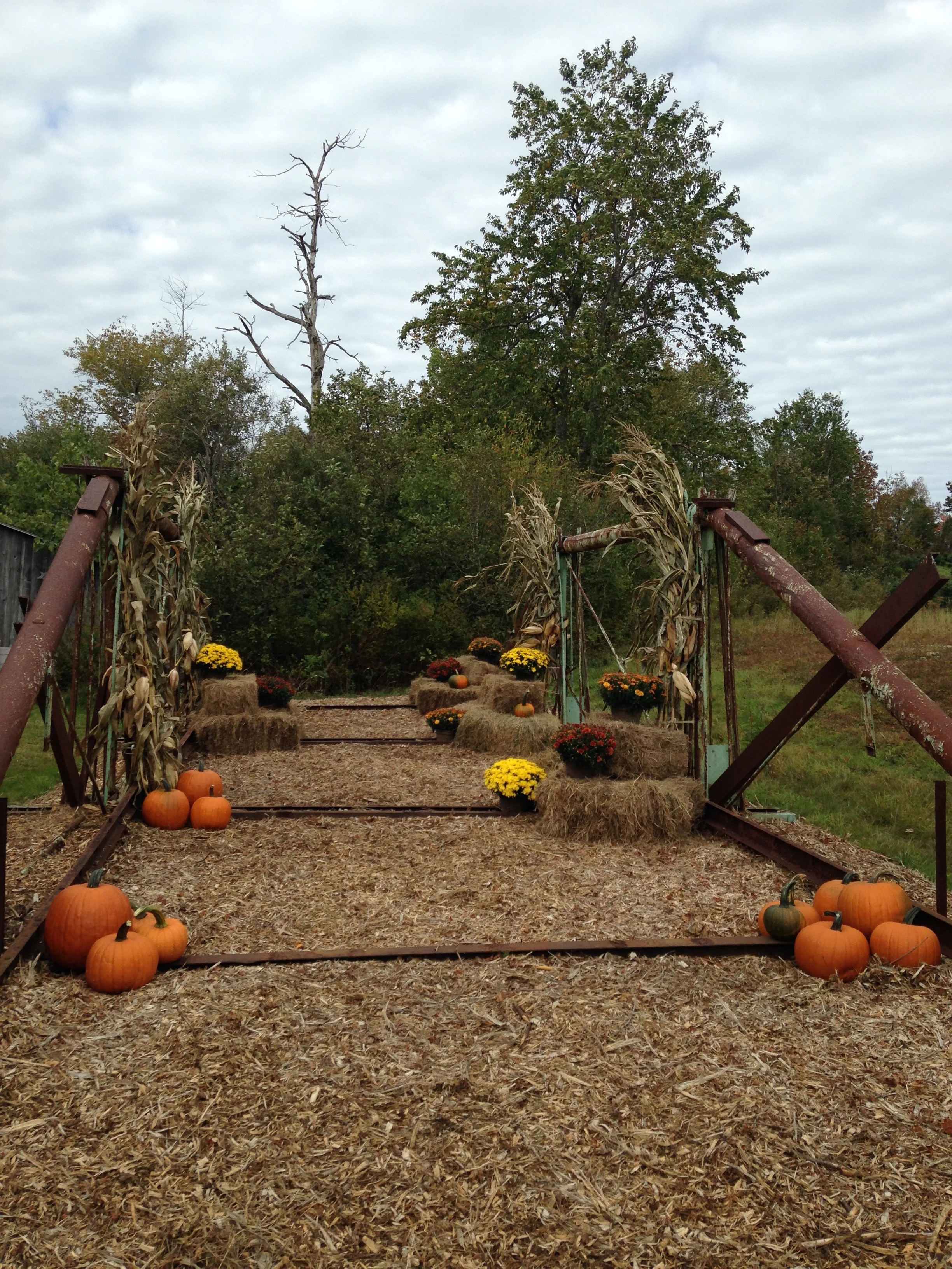  C.H. Ball Bridge (c. 1894) - Photo taken October 2015