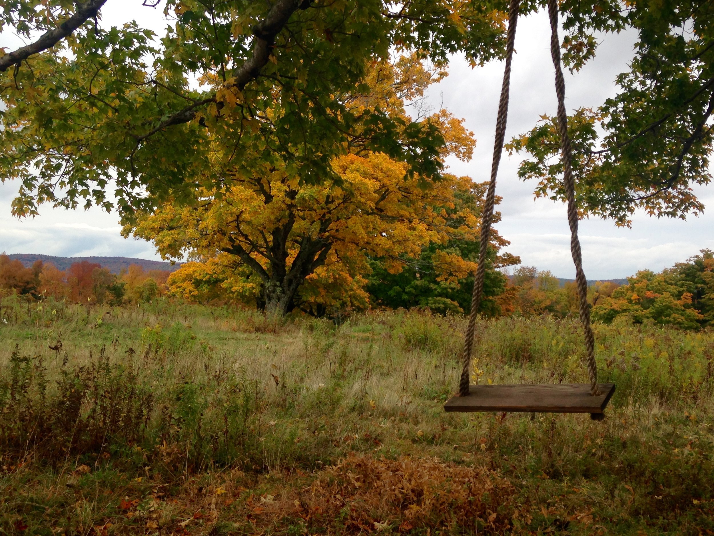 Bates Field, Notchview