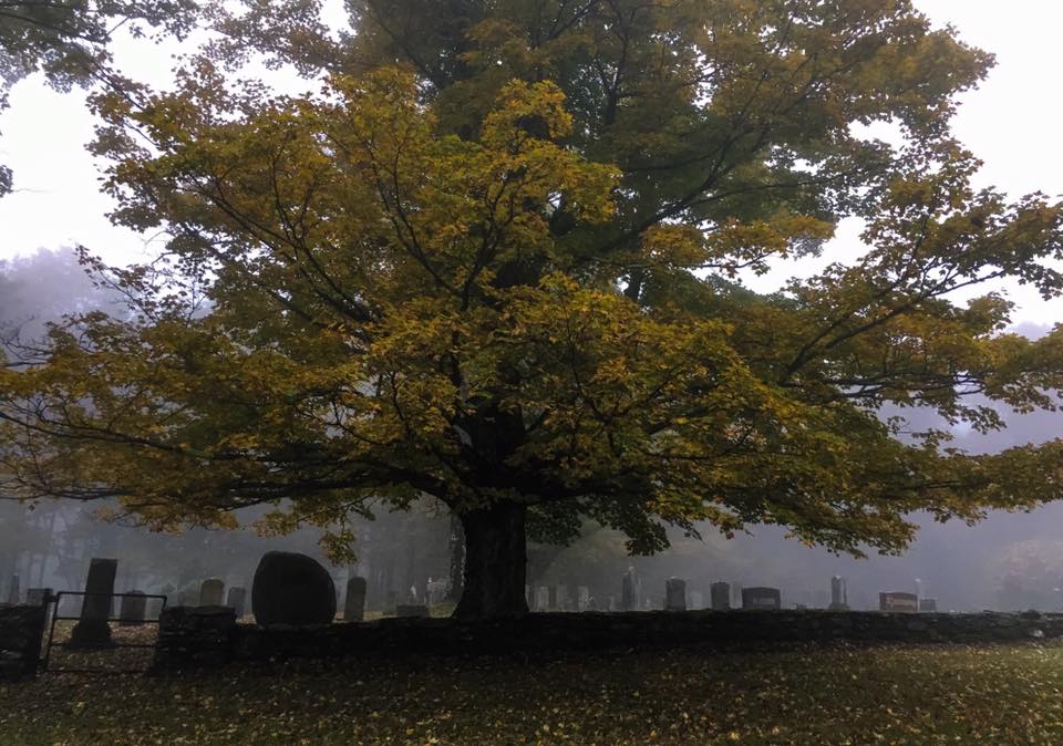 Shaw Cemetery in Mist
