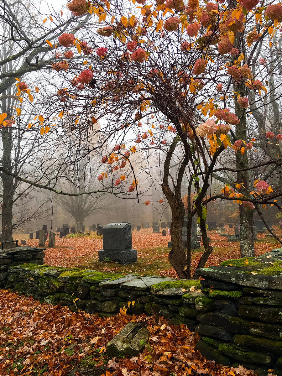 Shaw Cemetery, Late Fall