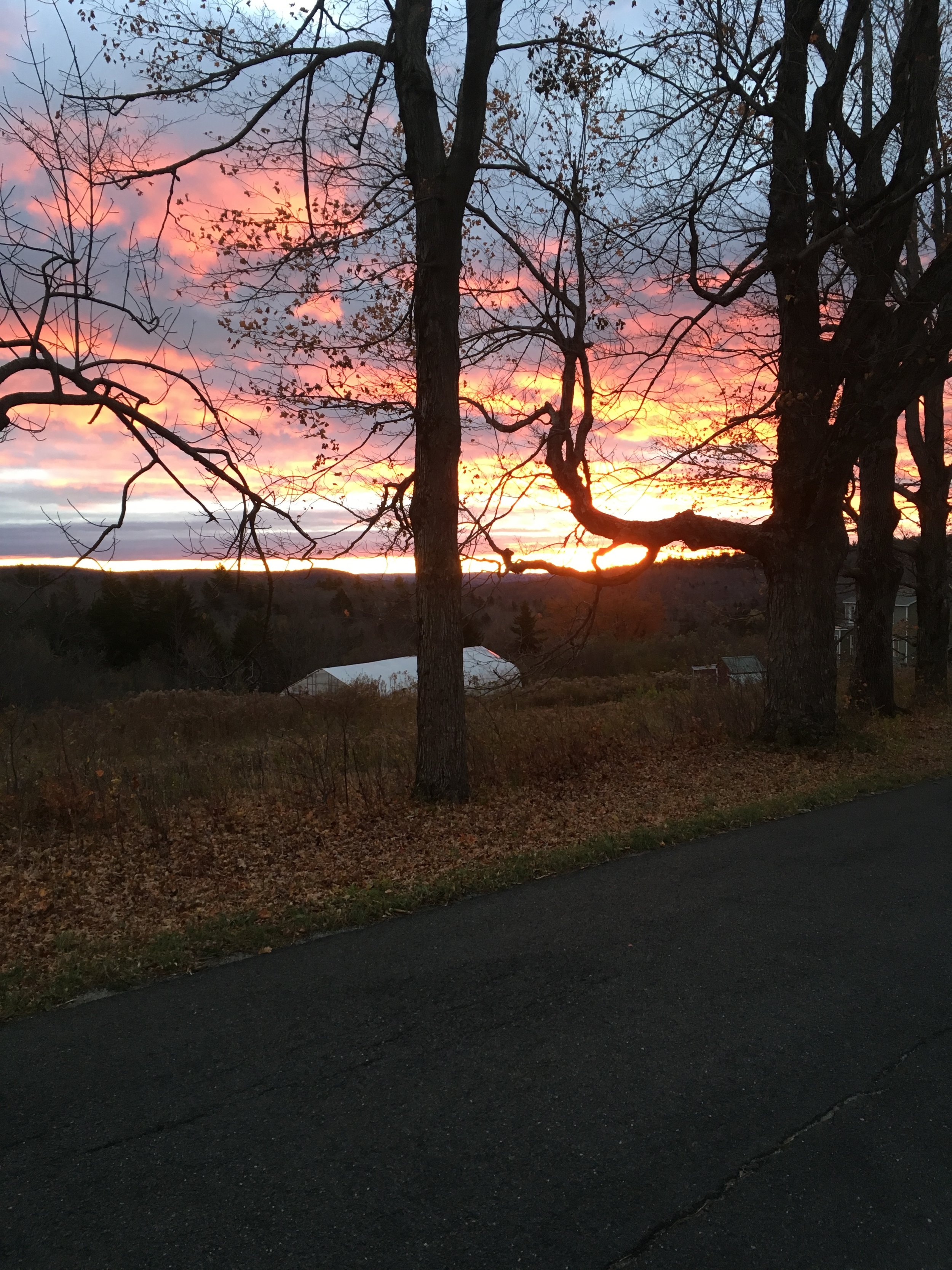 Sunrise, East Windsor Rd, Late October