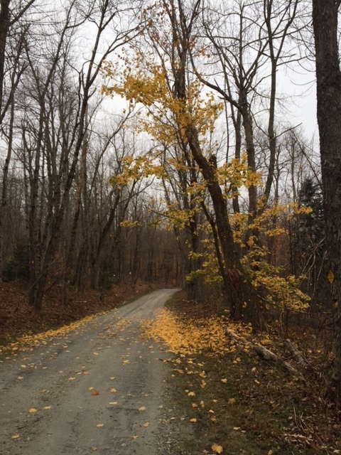 Peru Rd, Last of the Leaves