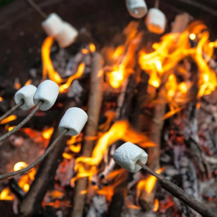 bonfire.jpeg