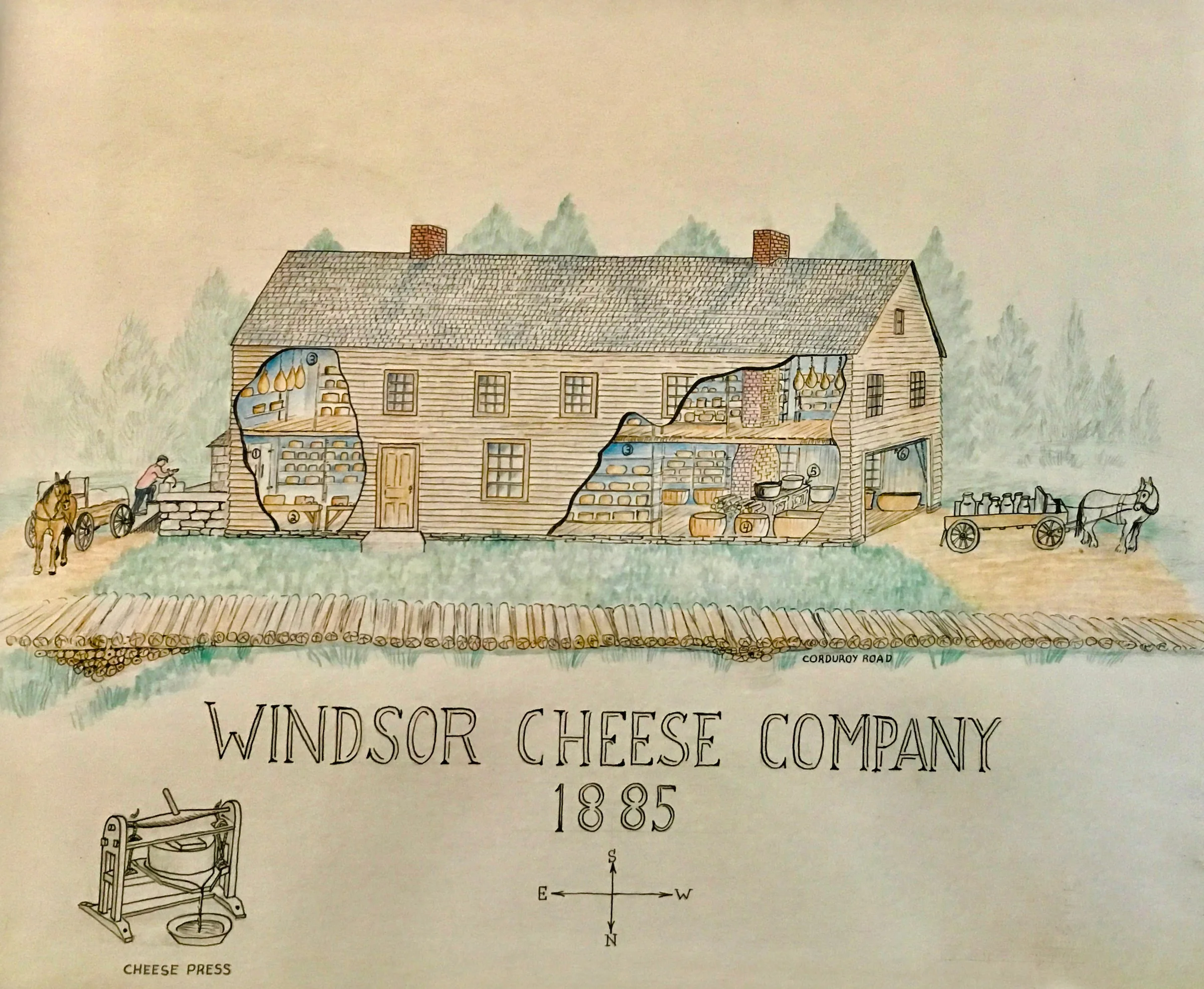 WindsorCheesecolor.jpg