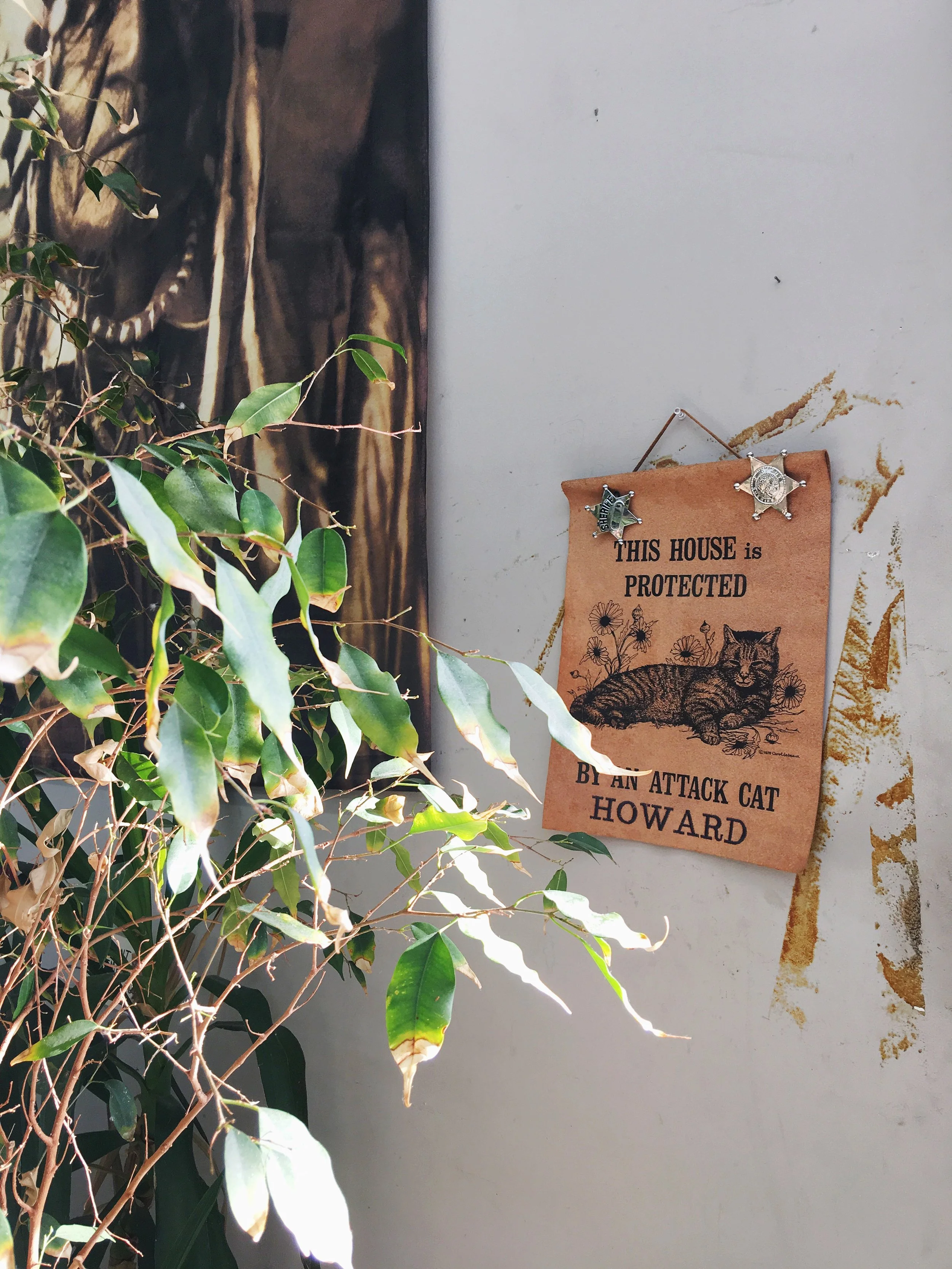 Vintage Shopping in Tulsa: Tulsa Thrift Stores