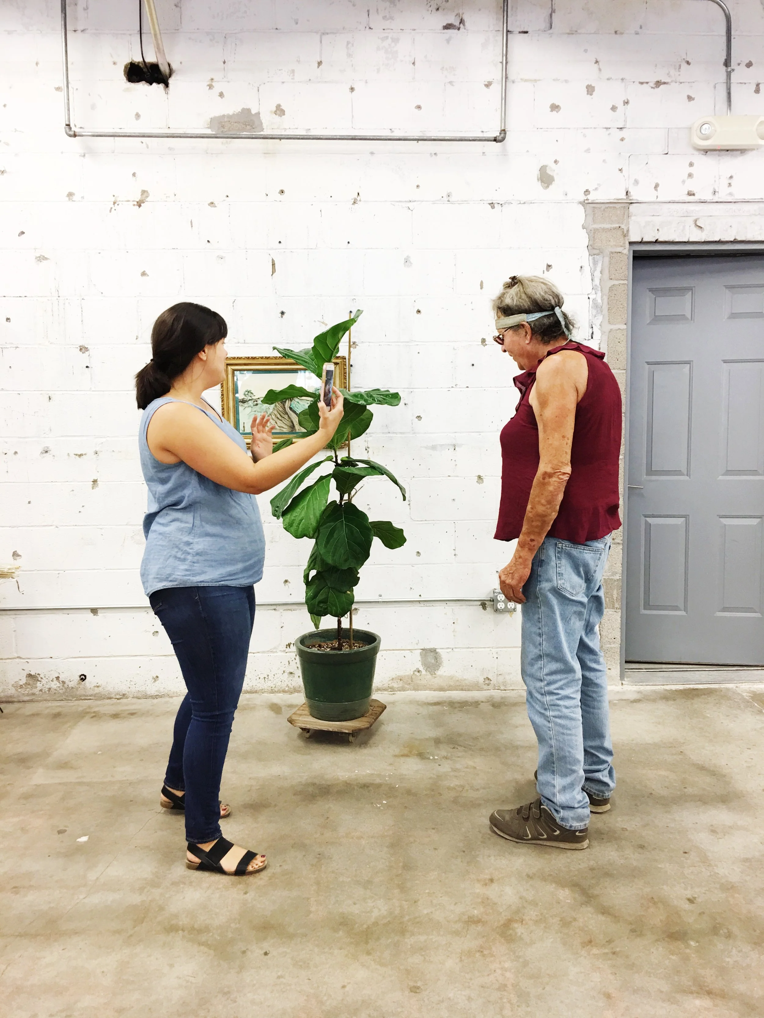 I'm chatting up Succulent Sara who used to run a green house full of all types of plants. I take all my plant cues from her!