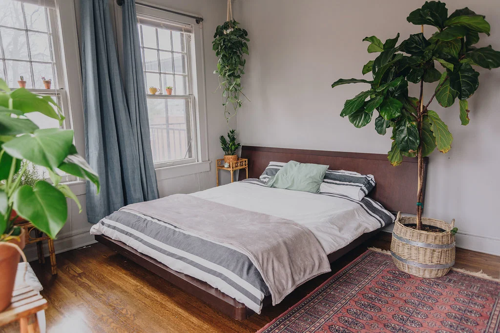 colorful+plantfilled+tulsa+apartment.jpg