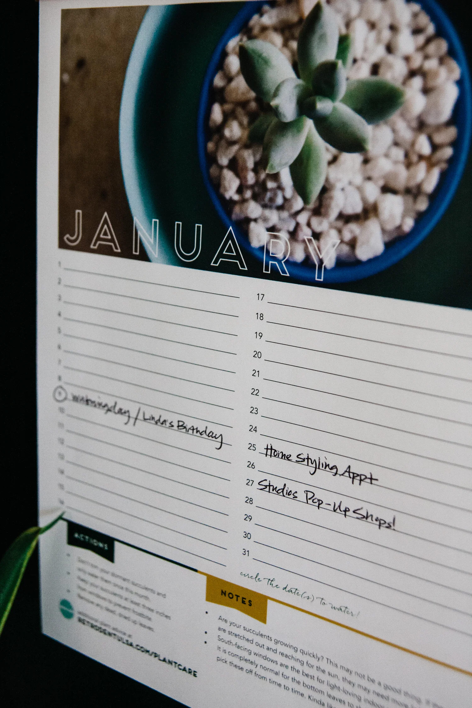 Monthly Succulent Agenda & Calendar Digital Download