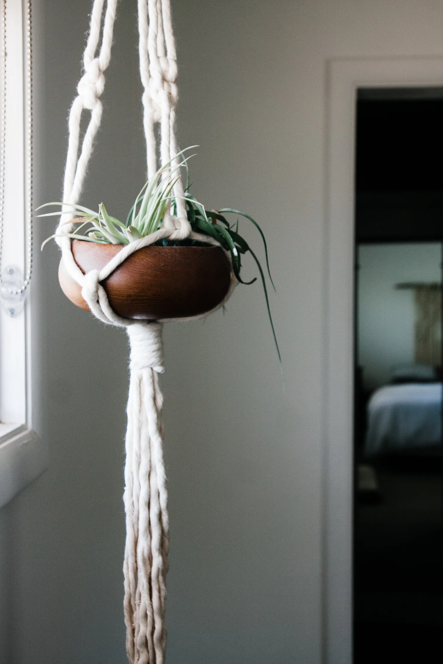 My House Sparrow macrame plant hanger is the only thing on this window wall. Keeping it simple or just incomplete? You tell me.