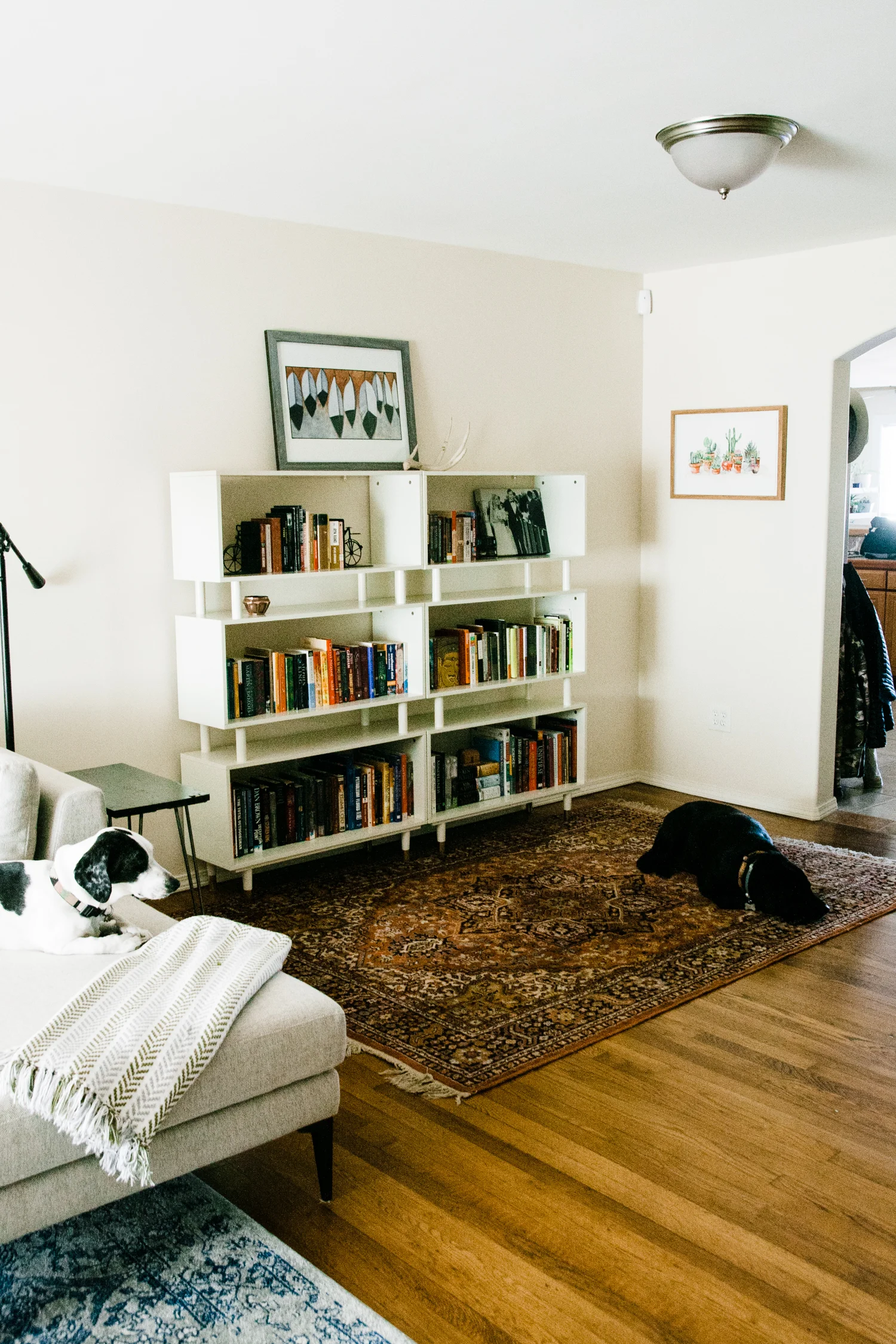 Shopping the home: We shopped their home and found this gorgeous rug being underutilized in another room and brought it out to the library space we were creating.
