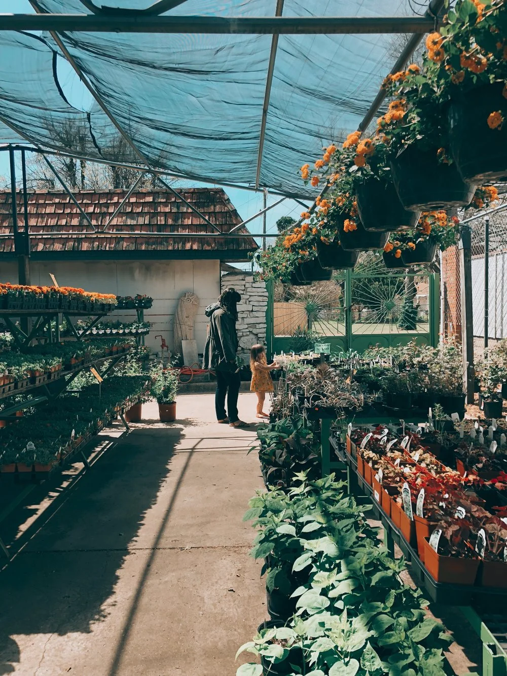 A-List Weekend Reading