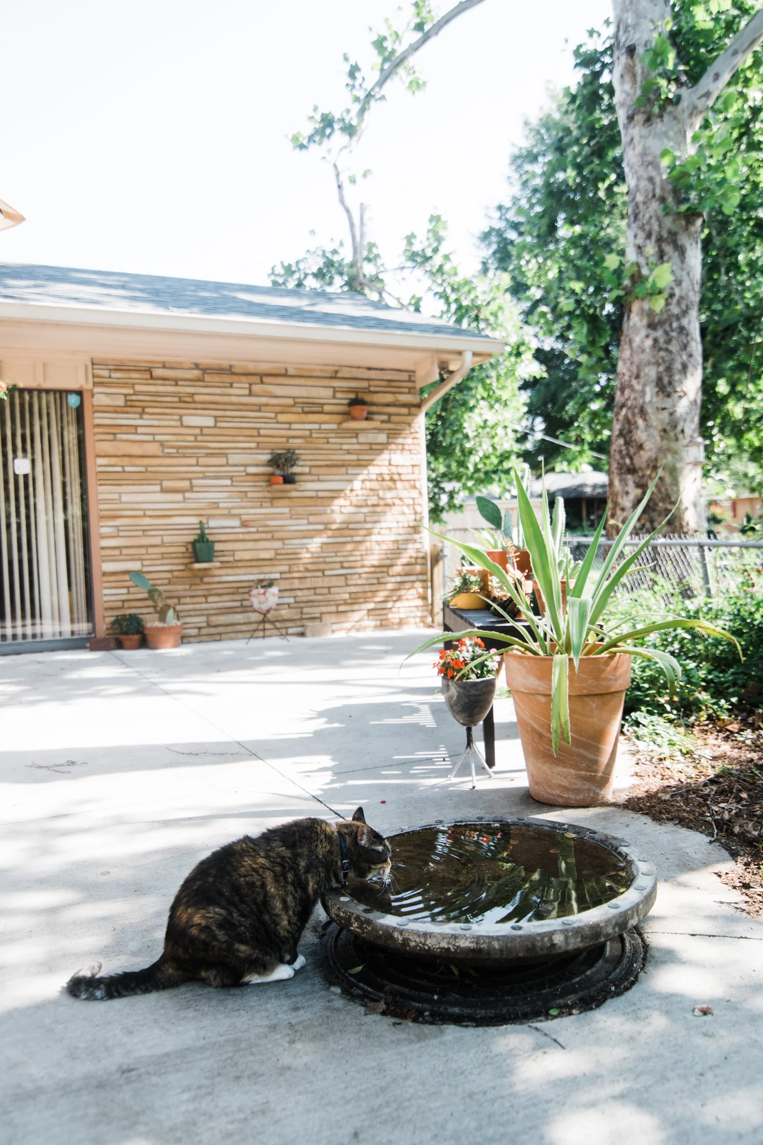 modern-eclectic-patio.jpg