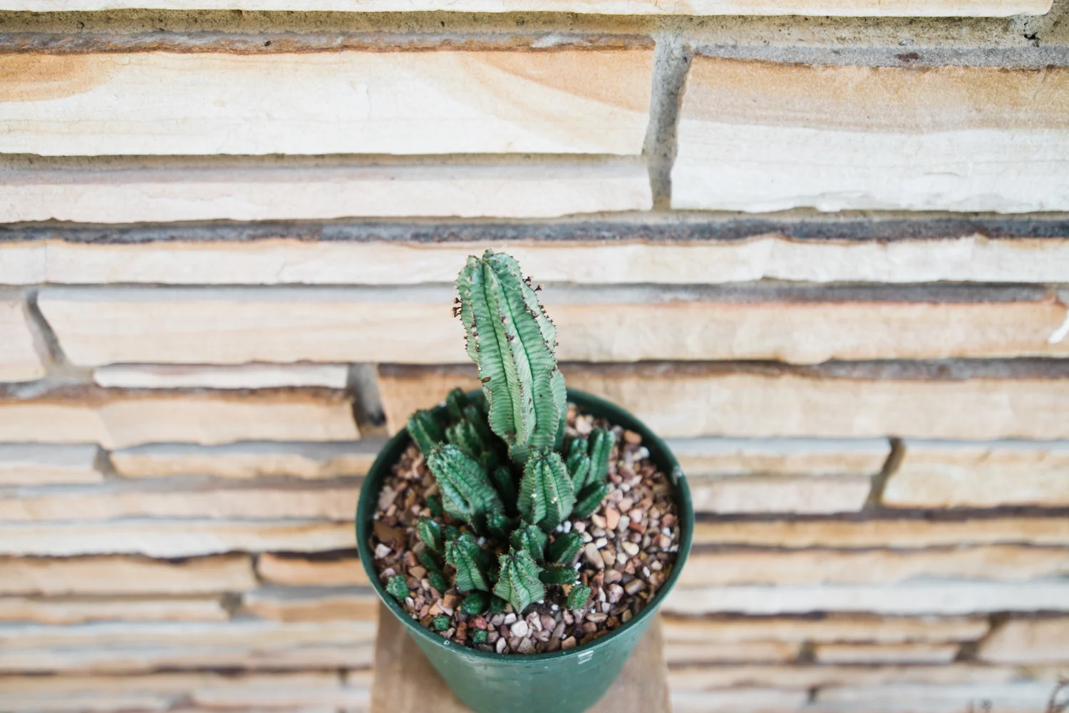 modern-eclectic-patio.jpg
