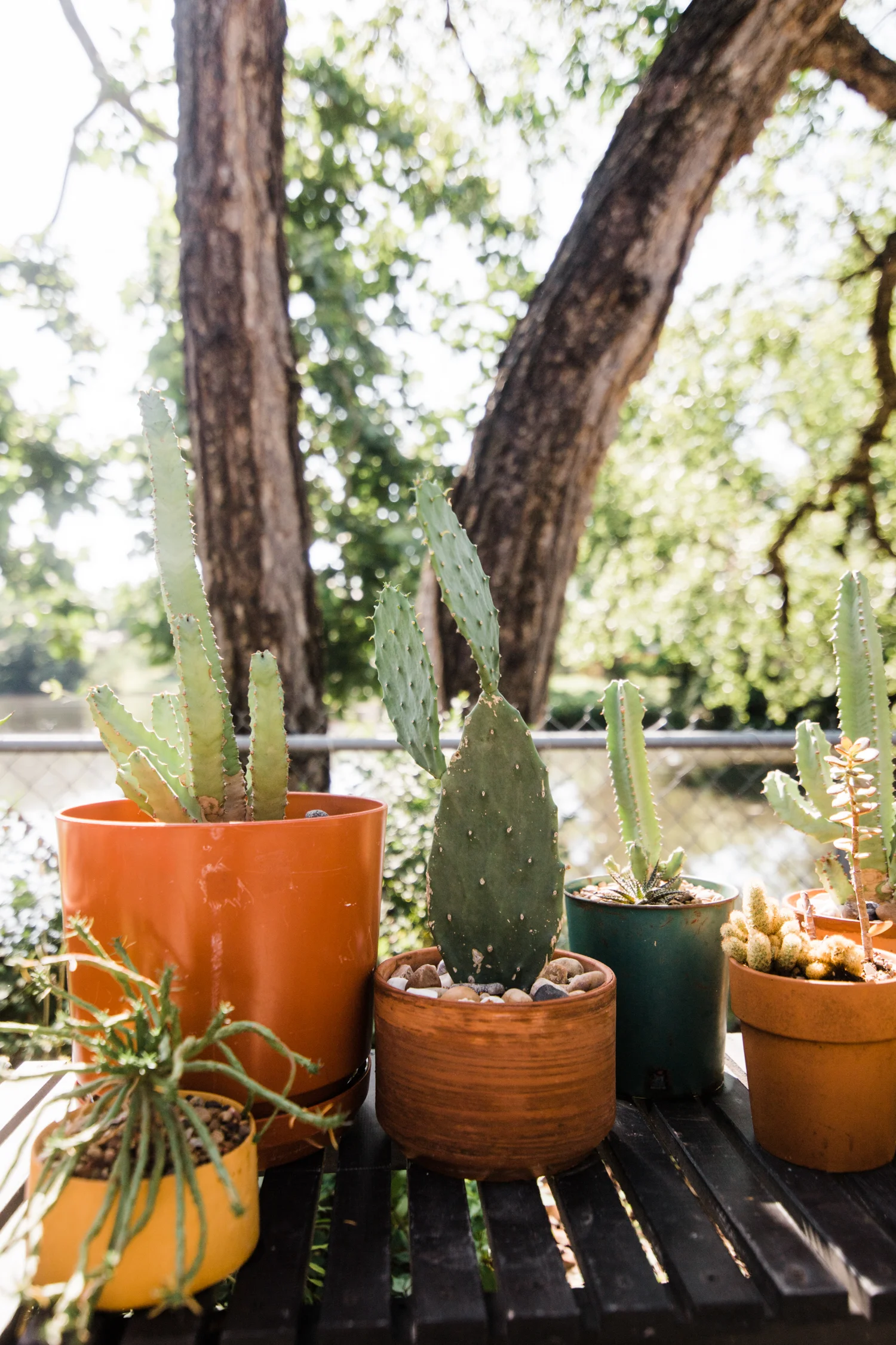 modern-eclectic-patio.jpg