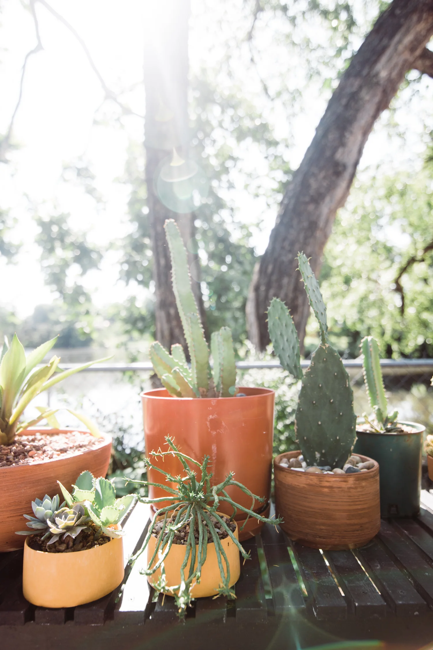 modern-eclectic-patio.jpg