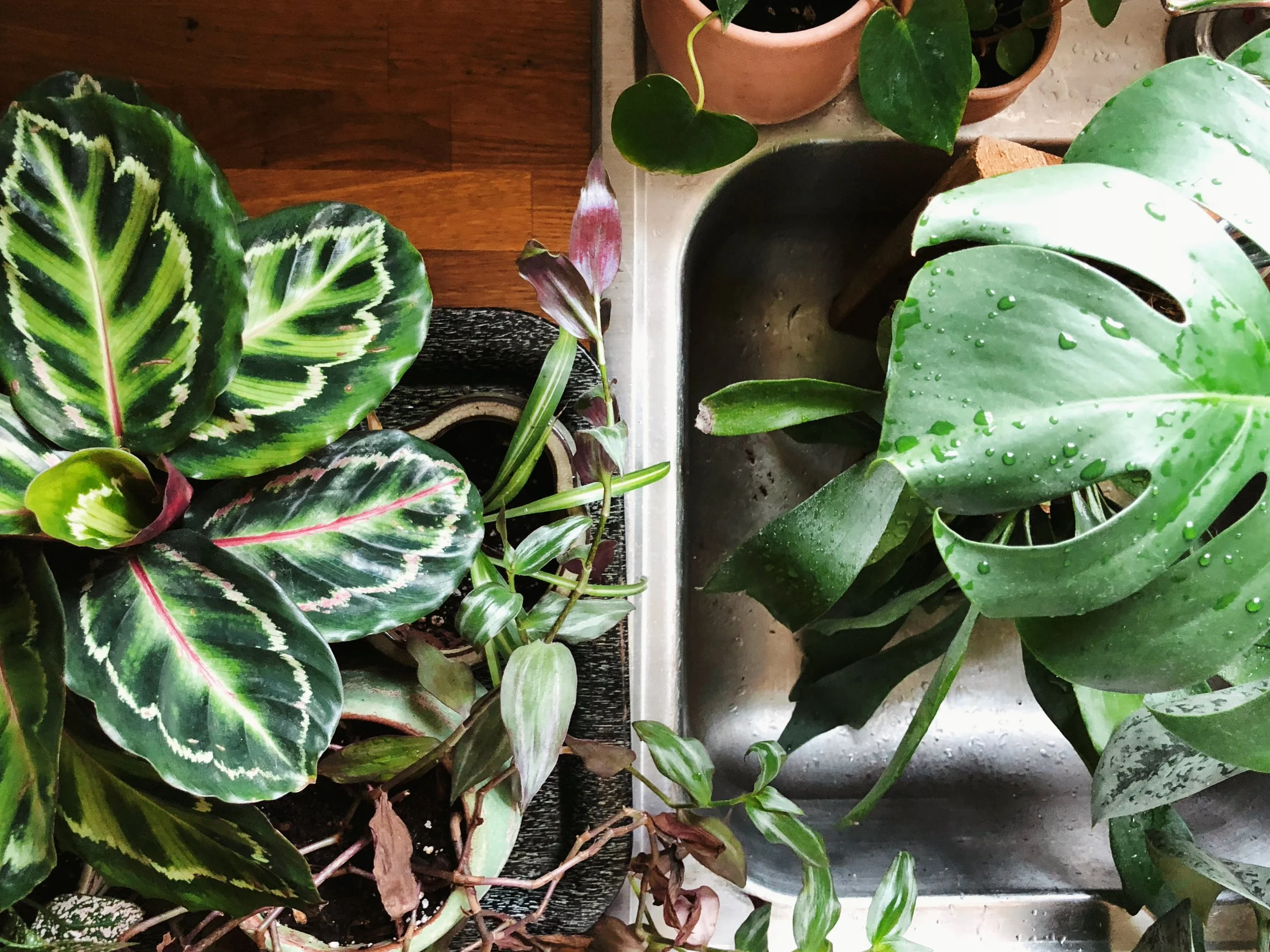 A-List Weekend Reading