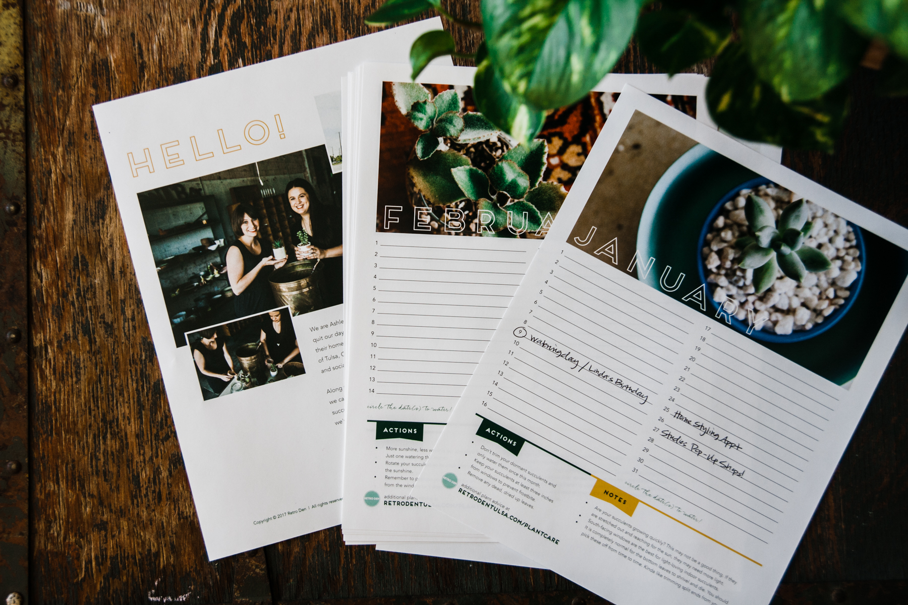 Perpetual-succulent-calendar-2018-IG-15.jpg