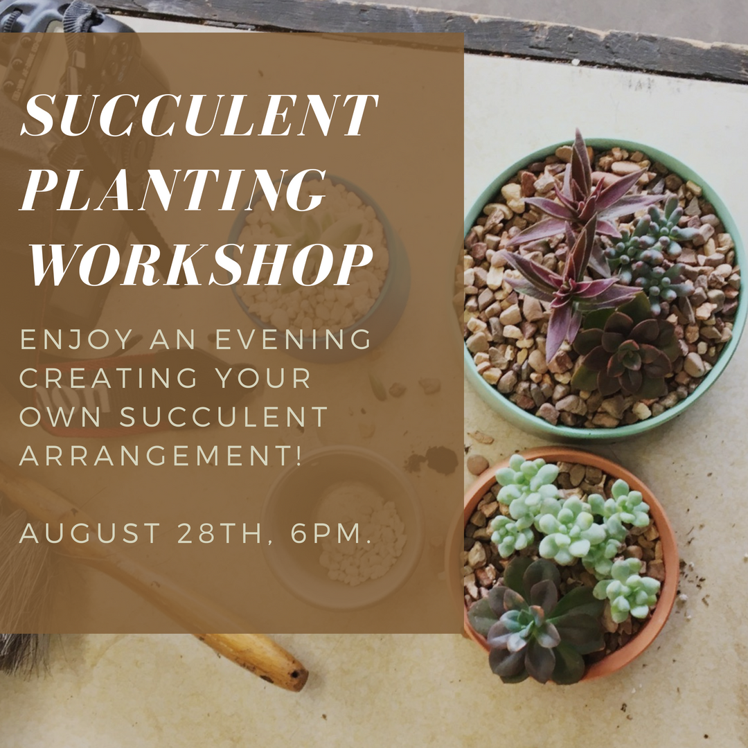 succulent-workshop-tulsa