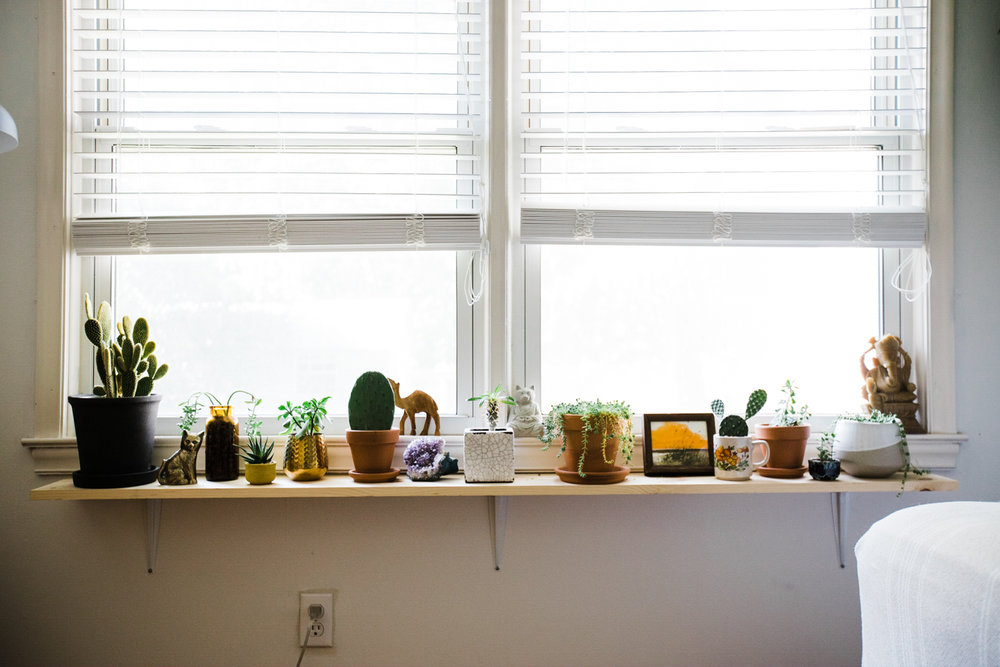 The Plant Shelf Creating More Room For, How To Build Window Shelves For Plants