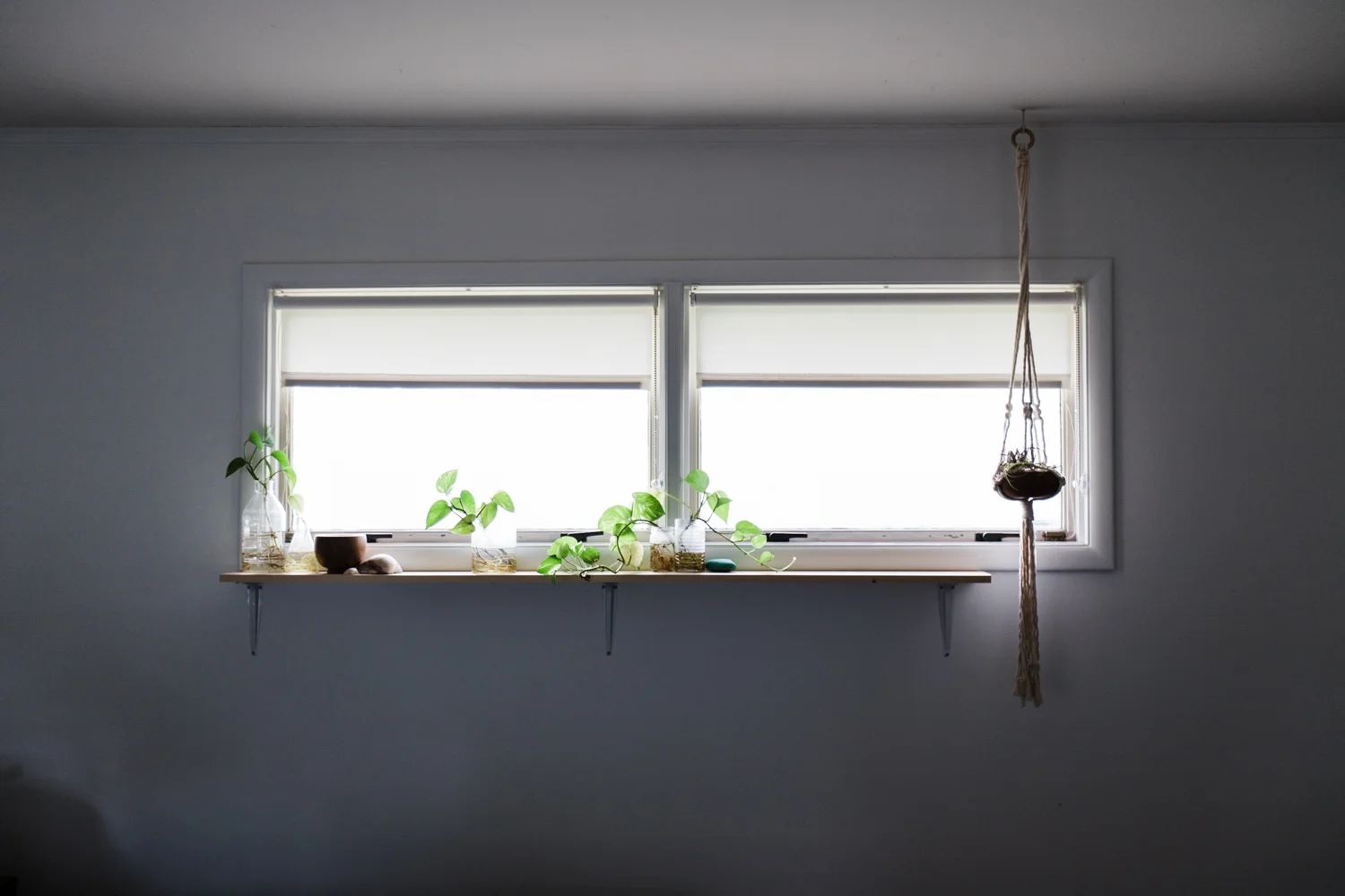 Palmer off-set her bedroom plant shelf to make room for her House Sparrow macrame hanger.