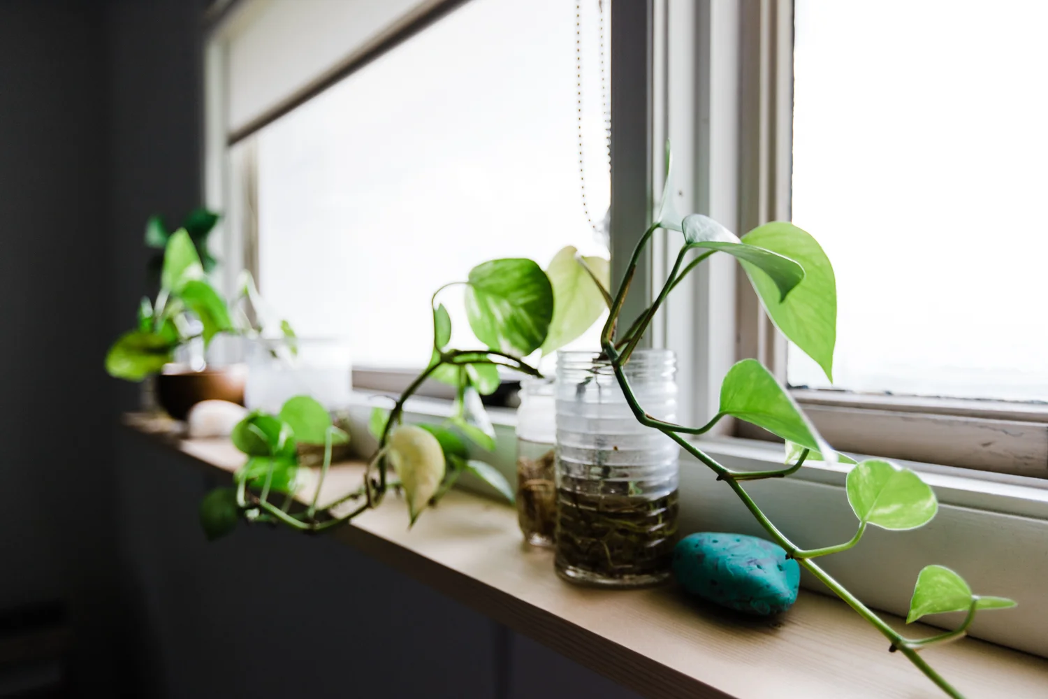 Palmer-Plant-Shelf-WEB-8.jpg