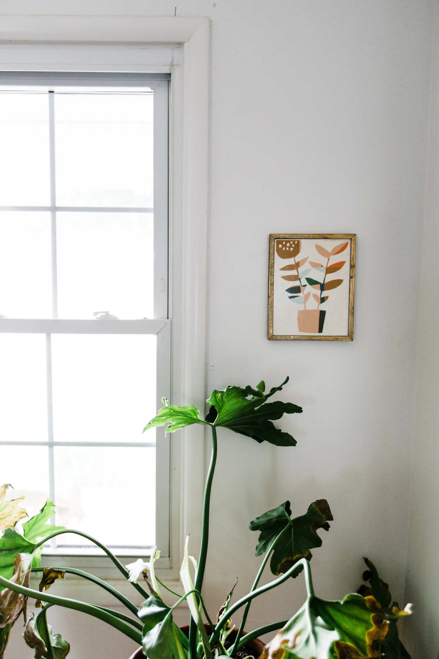 Abbey-Wells-Home-eclectic-colorful-home-WEB-92.jpg