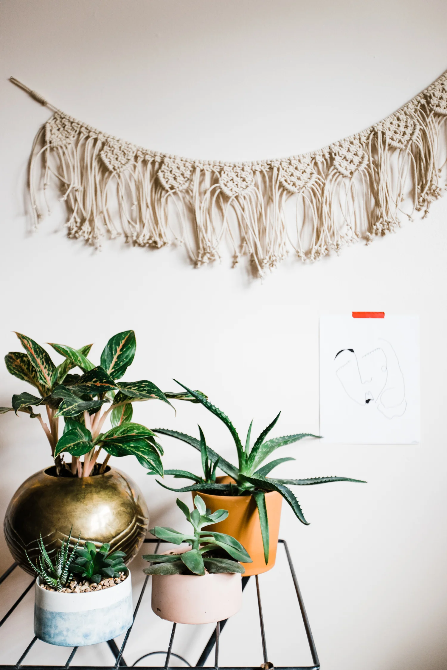 Abbey-Wells-Home-eclectic-colorful-home-WEB-9.jpg