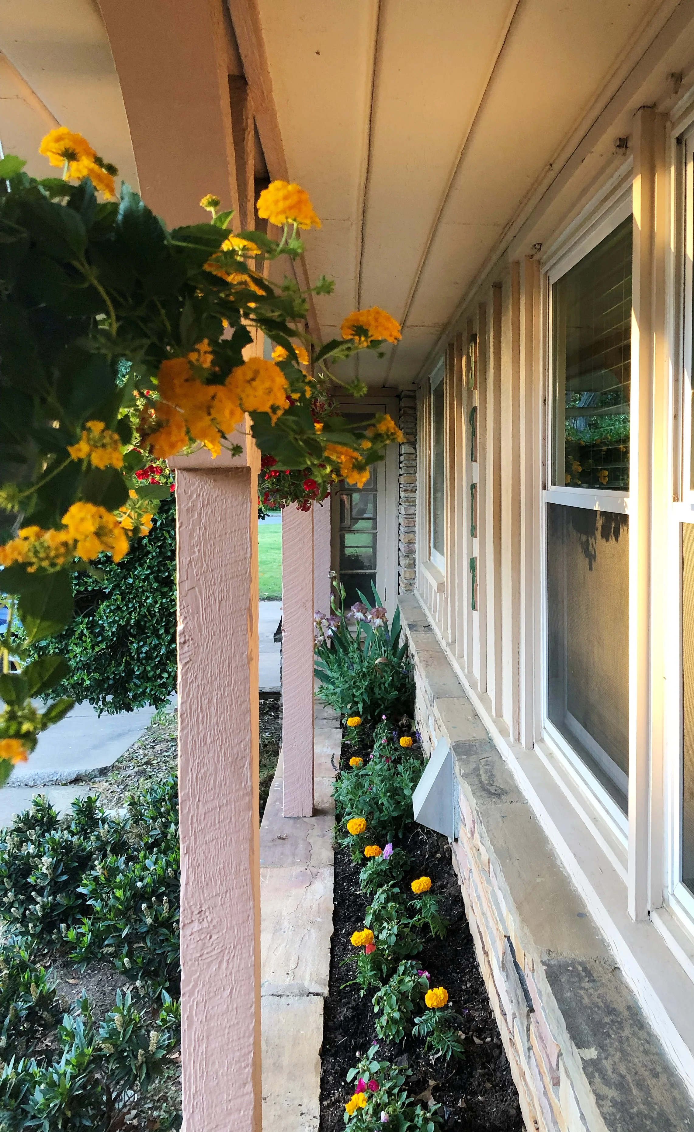 Tulsa hanging baskets sources.jpg