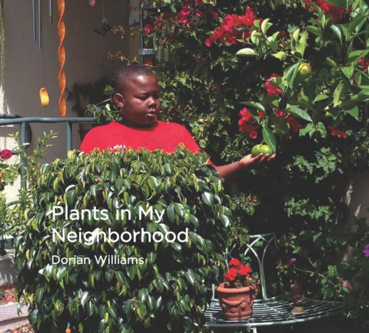 Plants in My Neighborhood From lemon trees to cacti, author and horticulturist, Dorian Williams, introduces you to the plants he loves. Plants in My Neighborhood explores the variety of flora in the Webster neighborhood of San Francisco. Buy this book.
