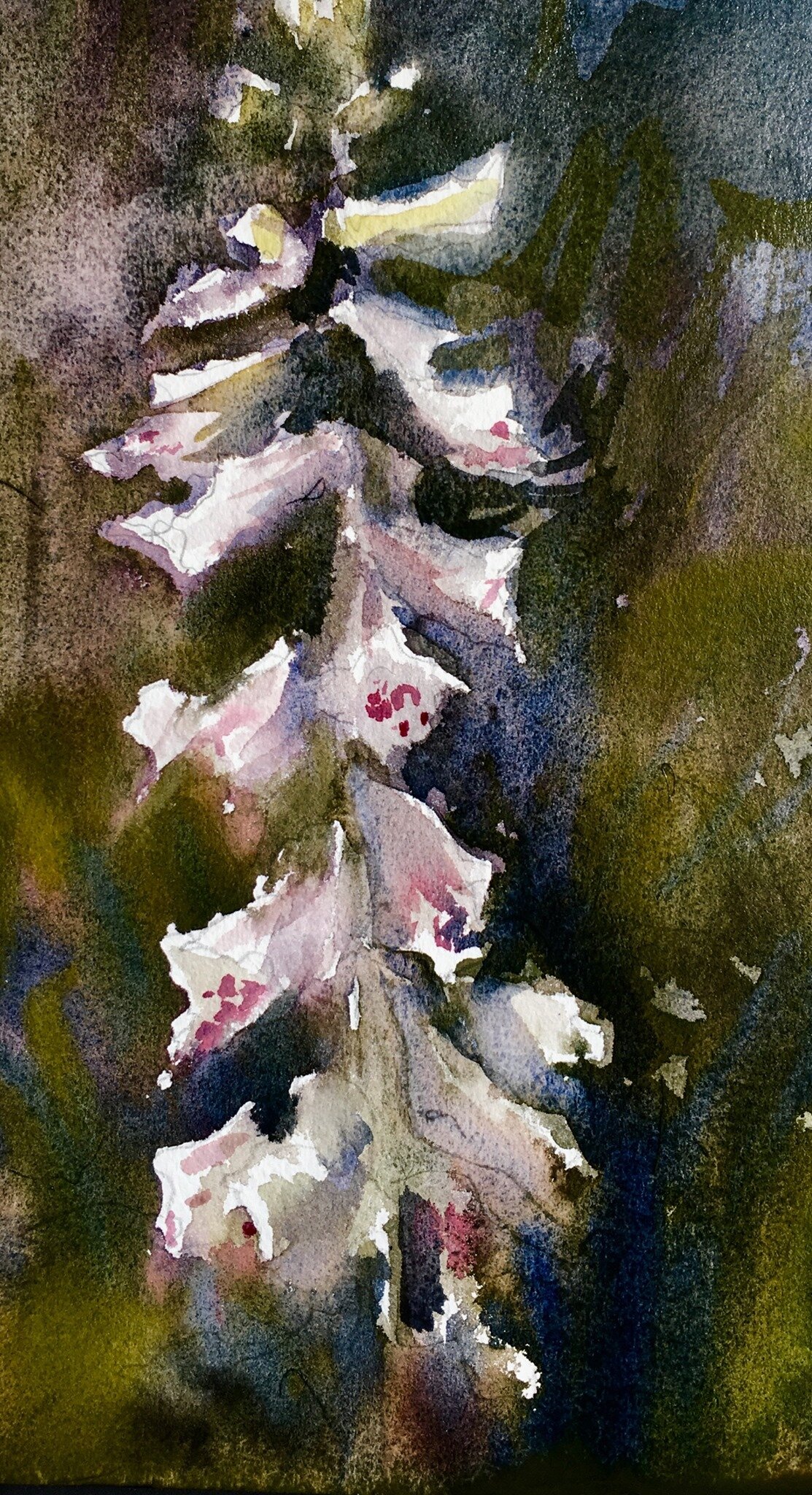 Foxglove, watercolor, 9 x 14"