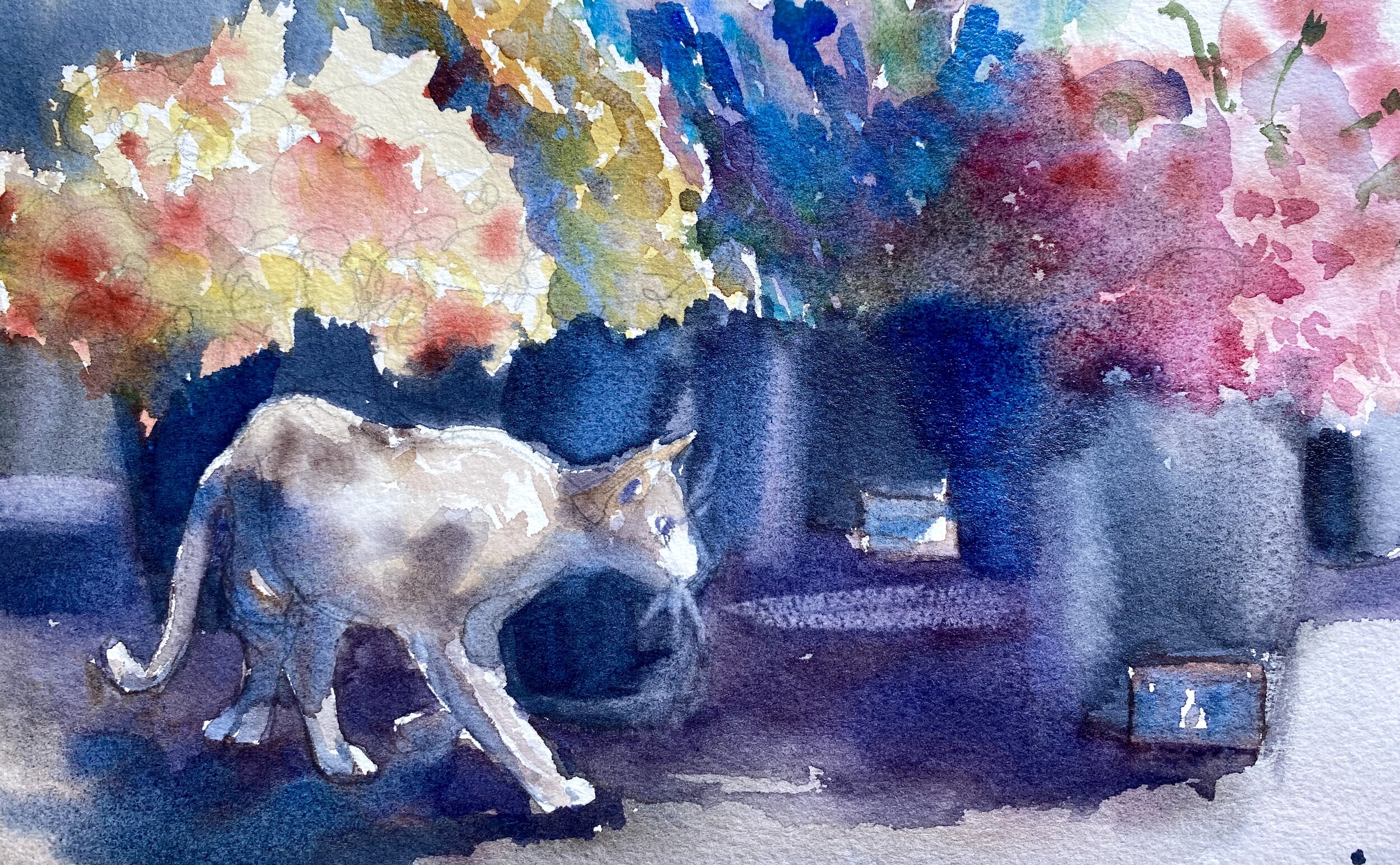 Floret, the Flower market cat, 9 x 12"
