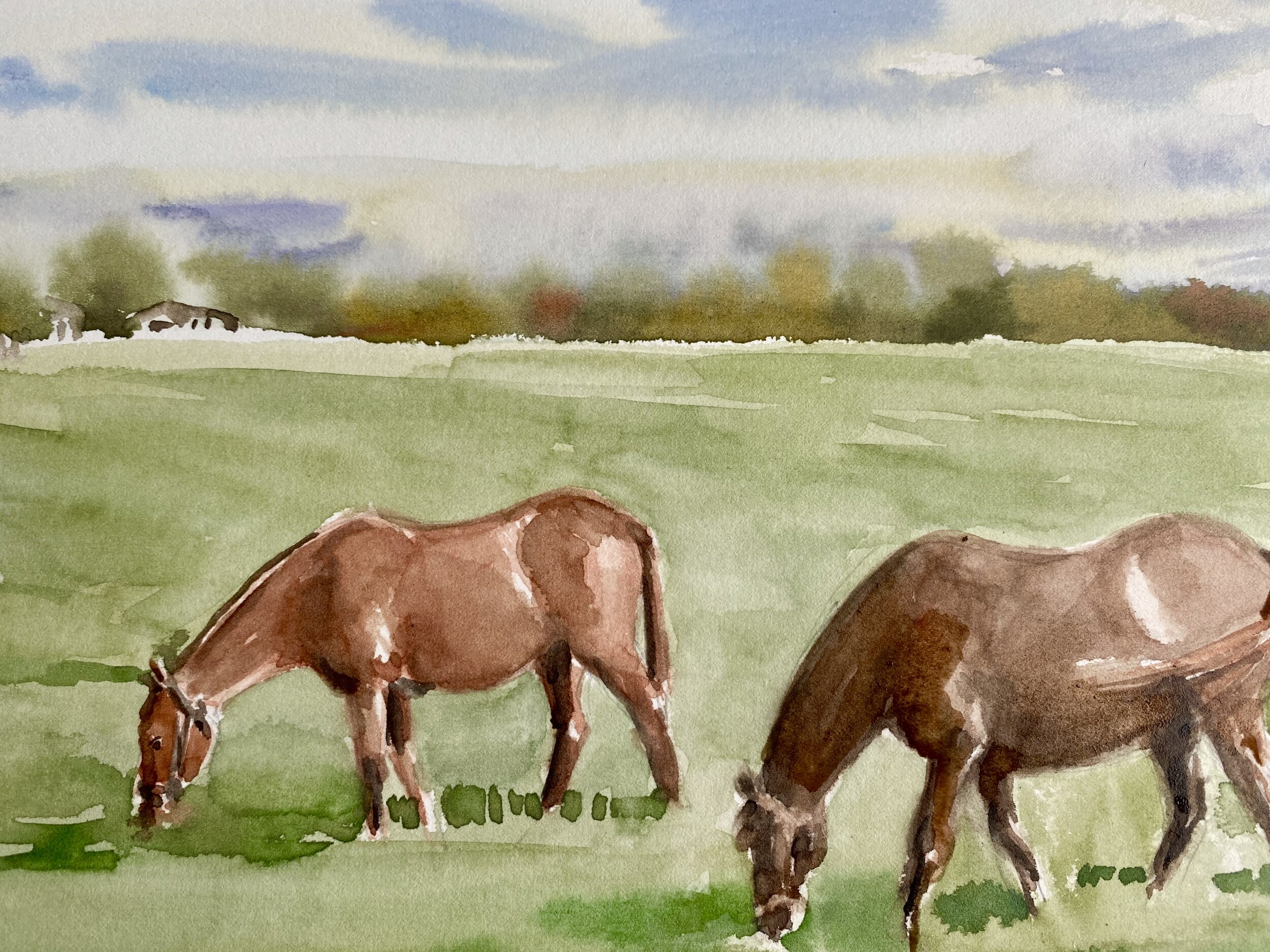Mares in Foal, Watercolor 7 x 10"