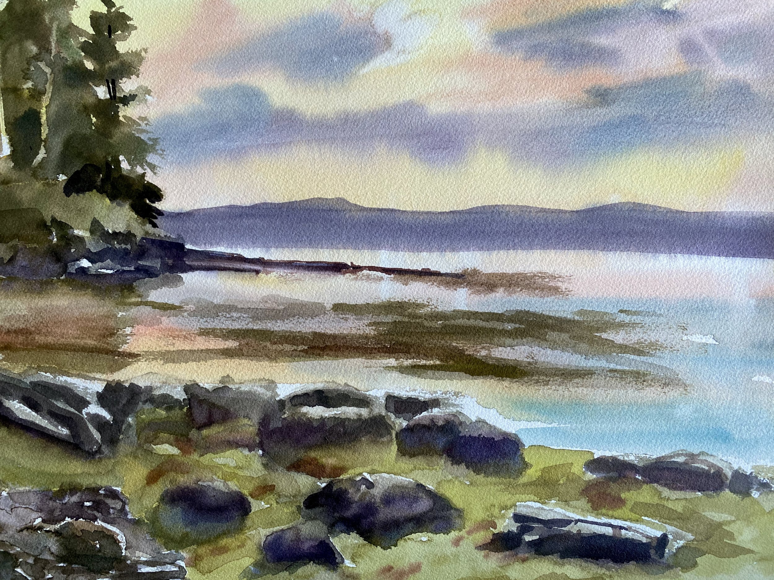 Island Rockweed, 11x 14", watercolor SOLD