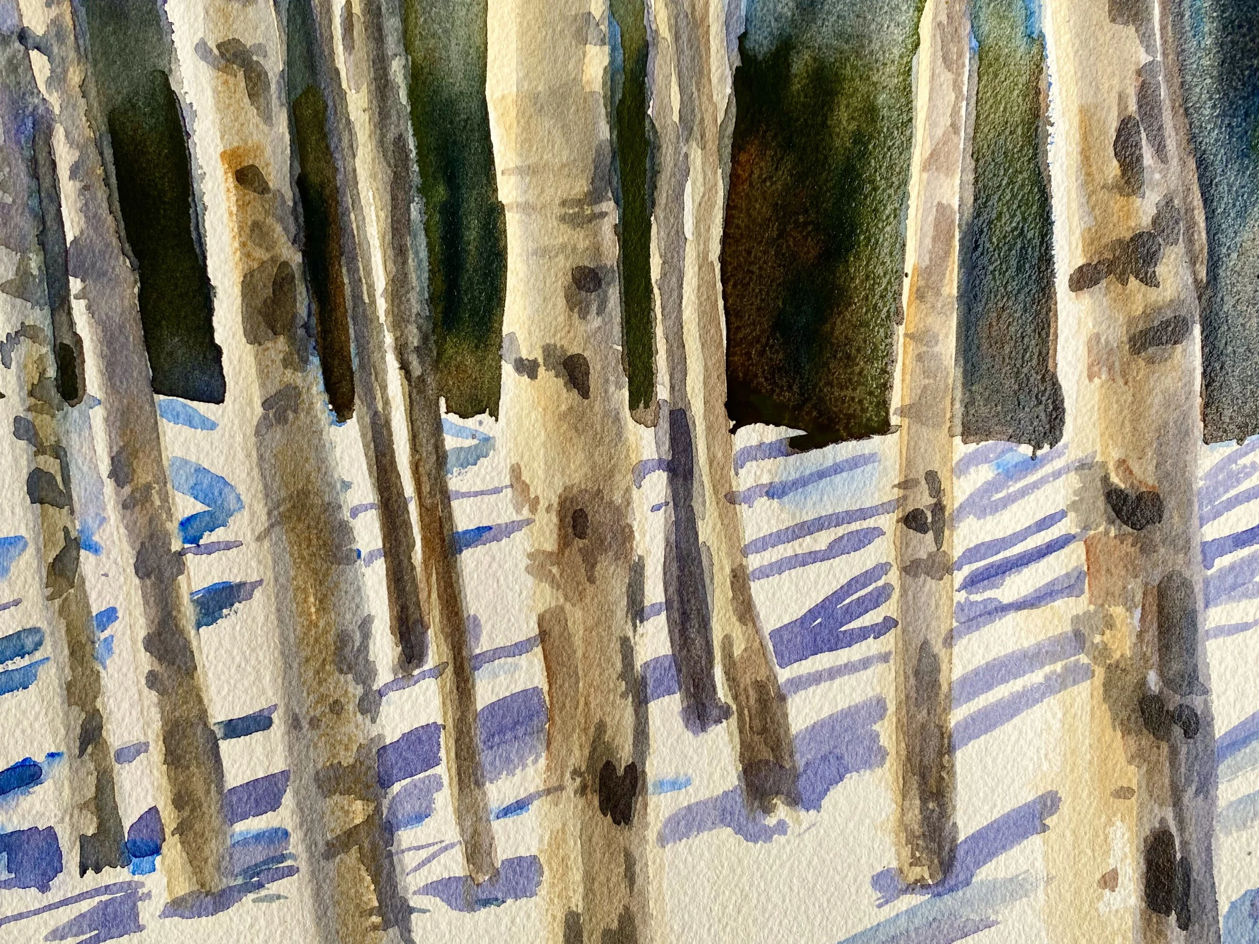 Aspen stand in winter, 9 x 12"
