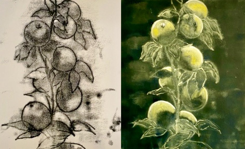 "Quince"Trace Monotype, Left, Oil monotype, Right, both 14 x 16