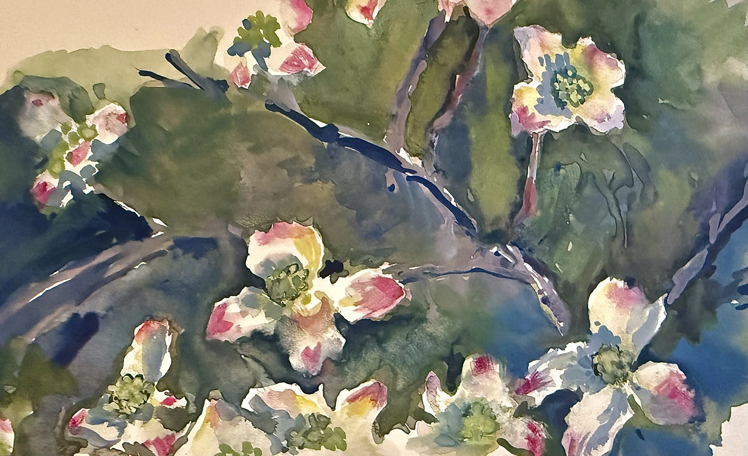 Dogwood, Botanical study, 6 x 9", watercolor