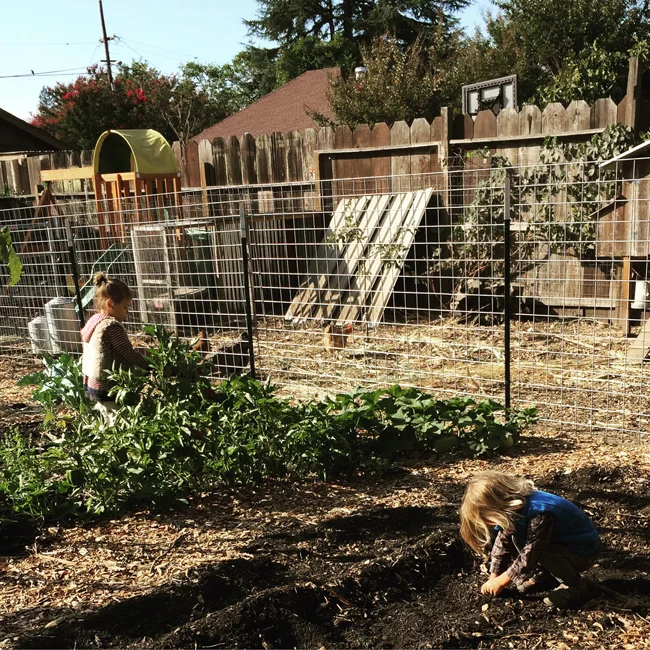 Treasure Hunting in the Garden