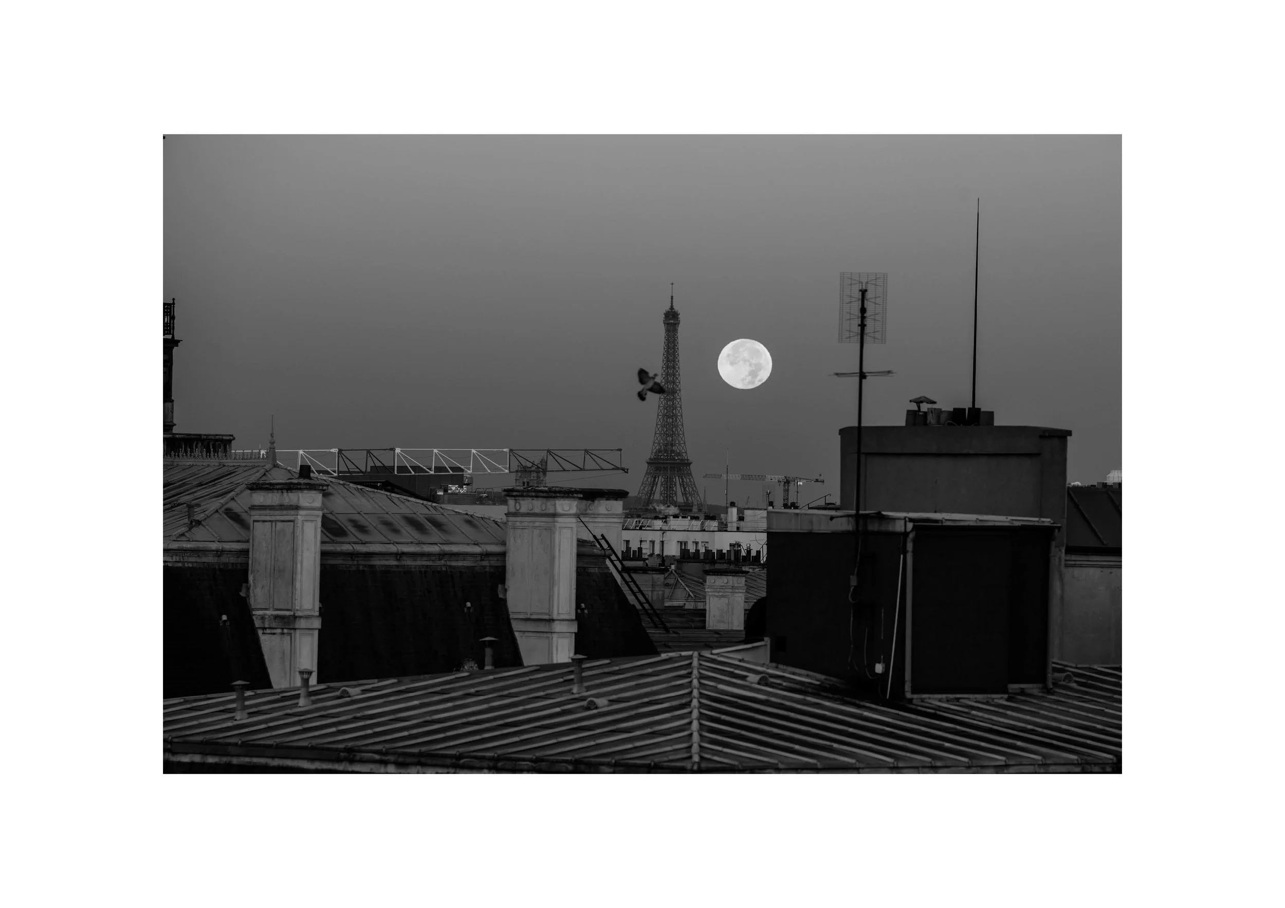Editorial_paris44.jpg