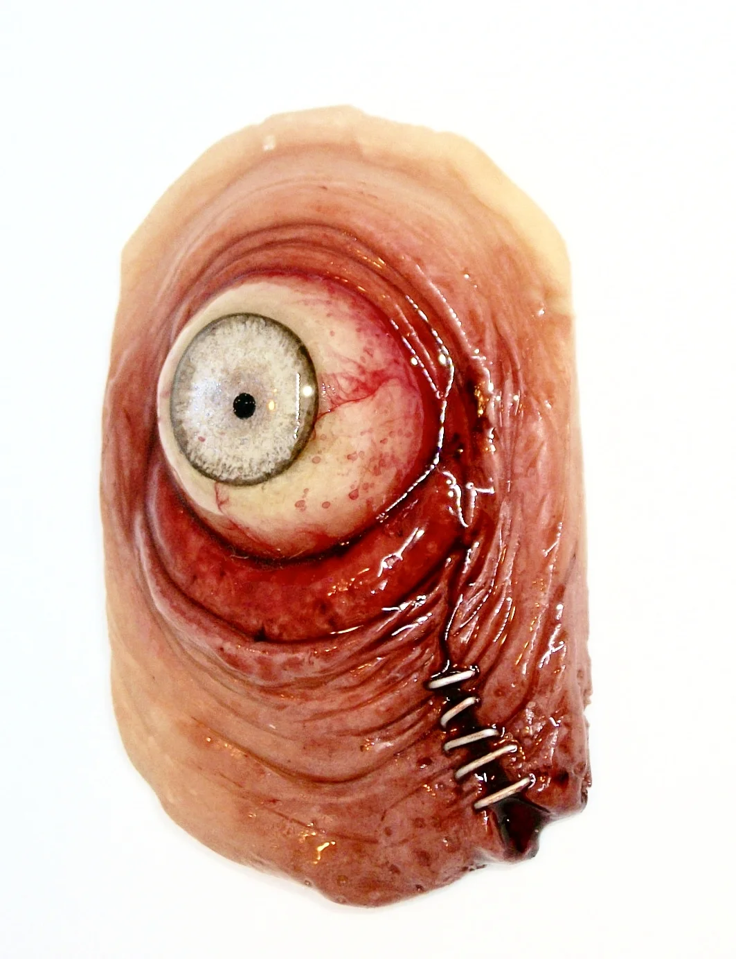 New Albino Eye ZombieHead Pendant