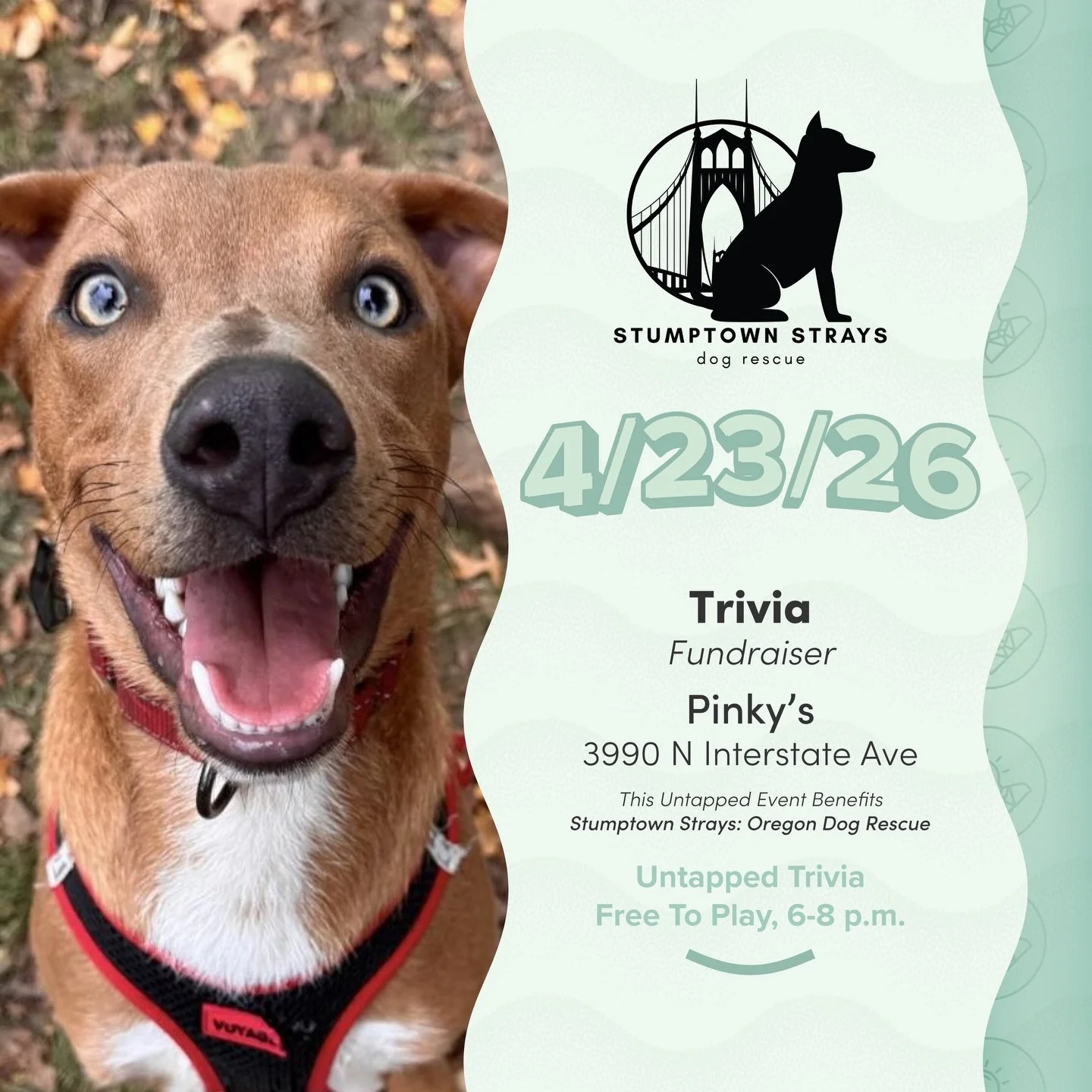 On Tap 4/23/26 &mdash; Trivia at Pinky&rsquo;s join us to raise funds for @stumptownstrays it&rsquo;s free to play with donation.

@pinkys.pizza&nbsp;is located at is located at 3990 N Interstate Ave, Portland, OR 97227.

Link to Donate in Bio: Raisi