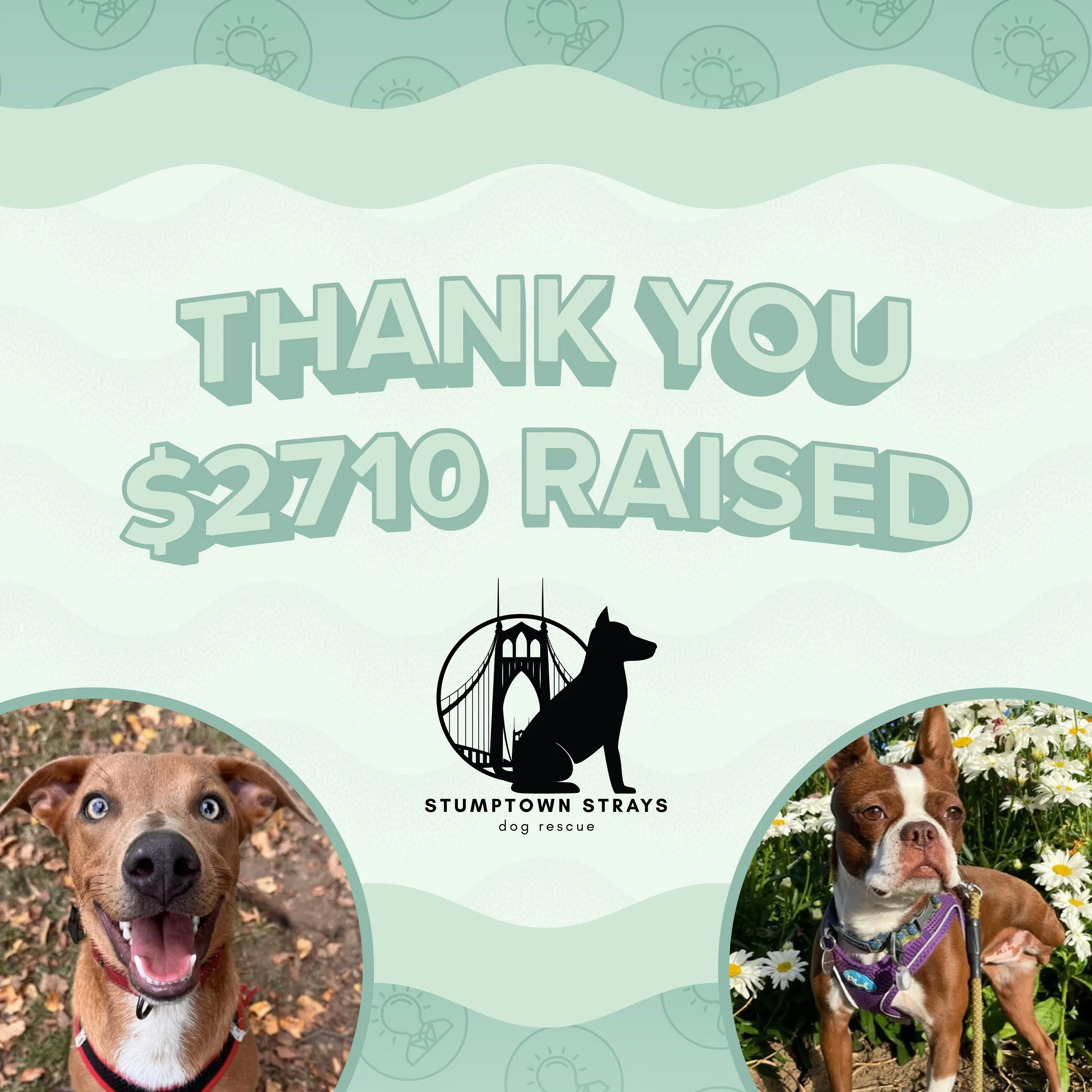 Together, we raised $2,710.00 for&nbsp;@stumptownstrays across all of our&nbsp;@untappedtrivia&nbsp;nights this past week! A huge thank you to each donor, trivia participant, performer, and venue. Thank you for joining us and donating towards Stumpto