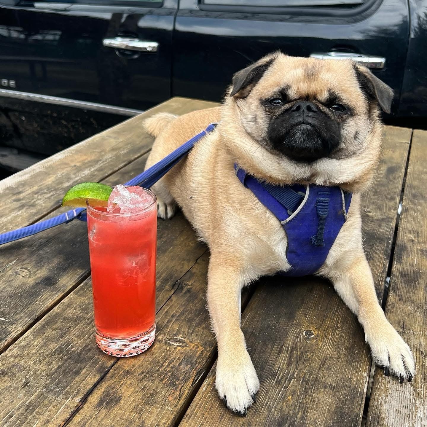 Free Bar Trivia 1st and 3rd Mondays 7-9 p.m. at Paydirt. Eat, drink, and win prizes! @untappedtrivia every 1st and 3rd Mondays at The Zipper Building.

@paydirtbar&nbsp;is located at 2705 NE Sandy Blvd, Portland, OR 97232 inside the Zipper building. 