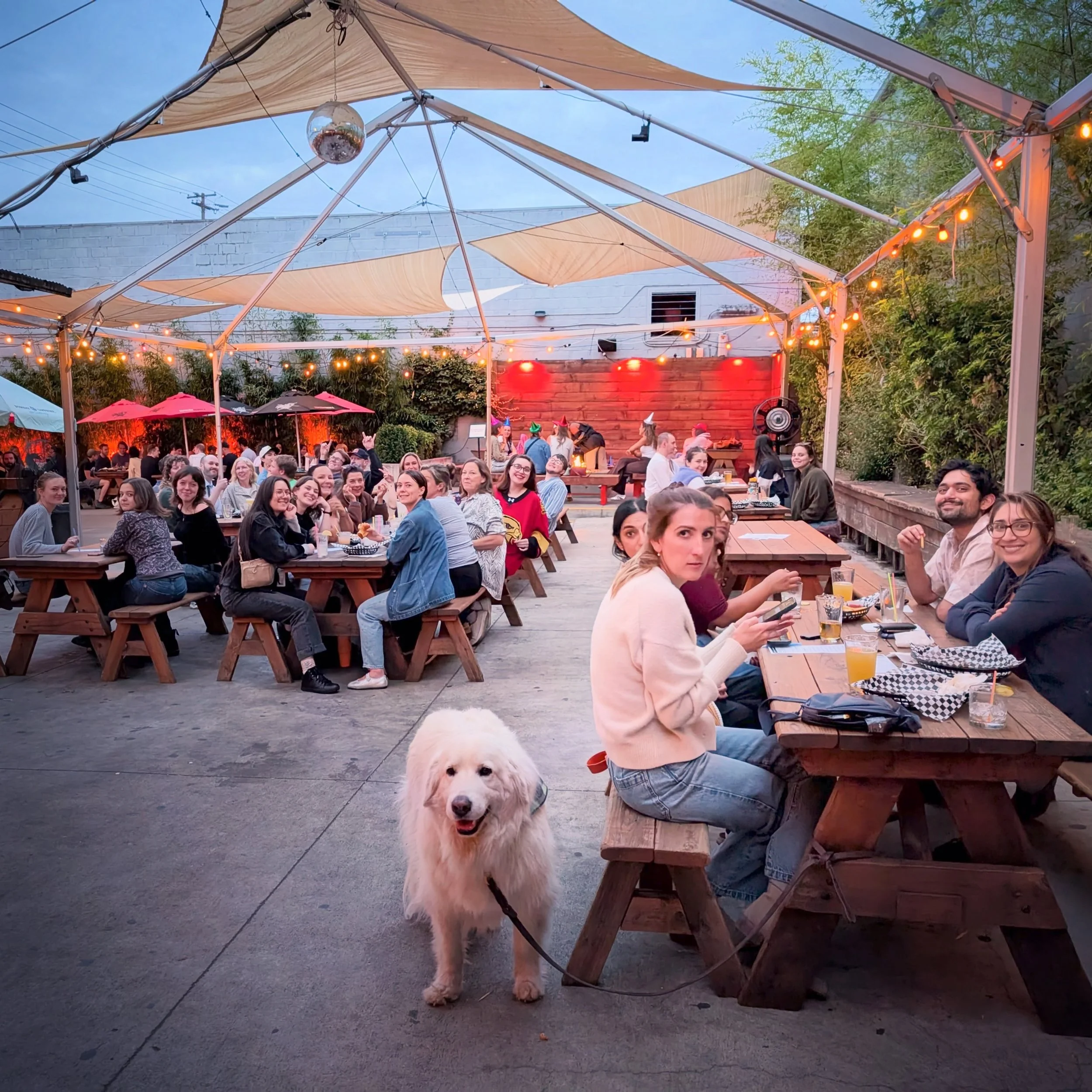 Trivia Tuesdays at White Owl from 7-9 p.m. Untapped Trivia voted &ldquo;best trivia night&rdquo; in Portland, OR 5 years in a row in Willamette Week &lsquo;s Best of Portland&rsquo;s readers&rsquo; poll!

Play @untappedtrivia at @whiteowlsocialclub&n