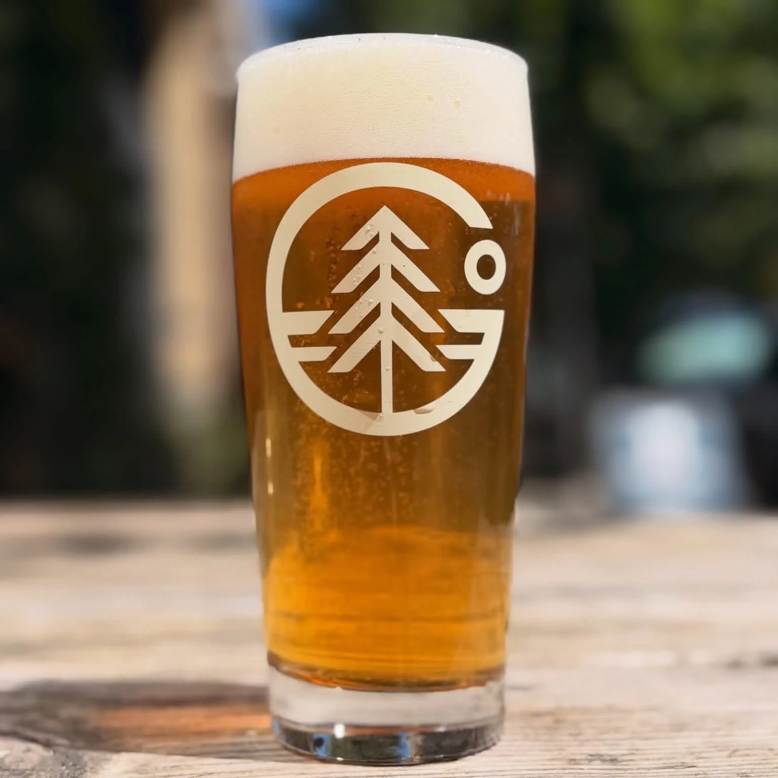 Free Trivia Tuesdays at Grand Fir Brewing. Join us from 7-9 p.m. for @untappedtrivia 

Untapped Trivia voted &ldquo;Best Trivia Night&rdquo; 2022-2026 in @willametteweek &rsquo;s &ldquo;Best of Portland&rdquo; readers&rsquo; poll.

@grandfirbrewing P