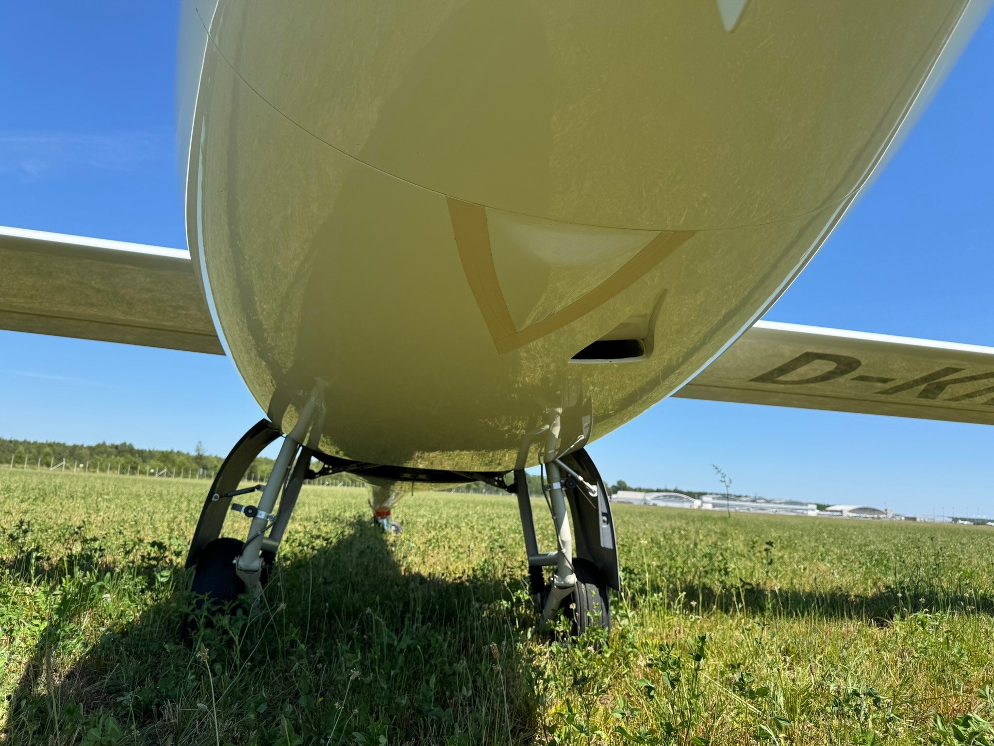 D7.jpg