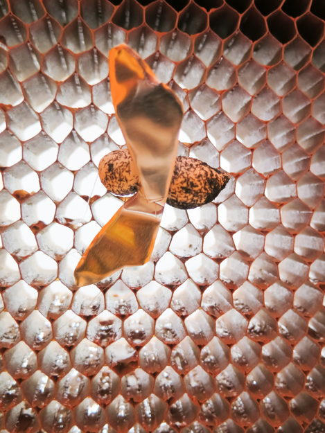 HAYGROUND BEE EXHIBITION.201400013.jpg