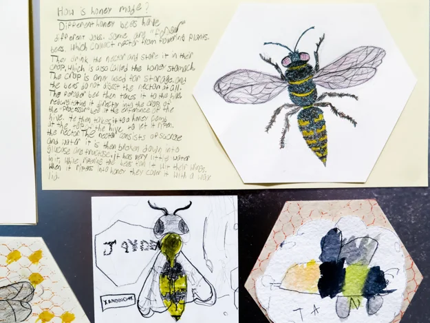HAYGROUND BEE EXHIBITION.201400019.jpg